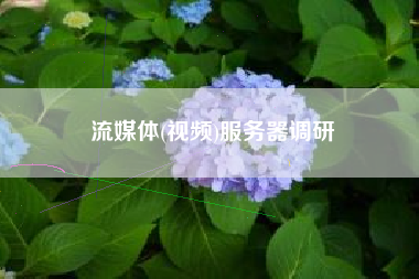 流媒体(视频)服务器调研