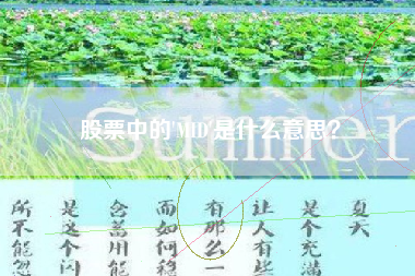 股票中的'MID'是什么意思？