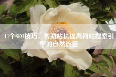 11个SEO技巧，帮助站长提高网站搜索引擎的自然流量