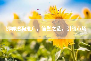 邯郸搜狗推广，信誉之选，引领市场