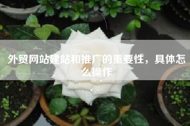 外贸网站建站和推广的重要性，具体怎么操作