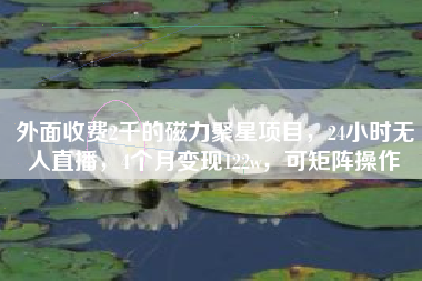 外面收费2千的磁力聚星项目，24小时无人直播，4个月变现122w，可矩阵操作