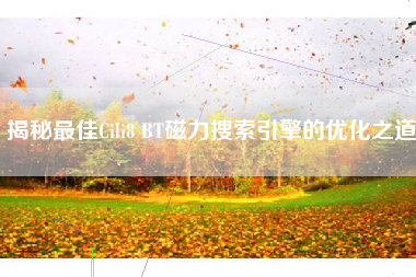 揭秘最佳Cili8 BT磁力搜索引擎的优化之道