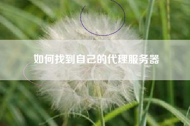 如何找到自己的代理服务器