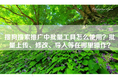 搜狗搜索推广中批量工具怎么使用？批量上传、修改、导入等在哪里操作？