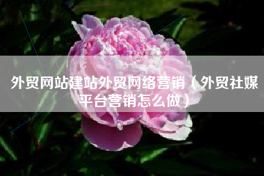 外贸网站建站外贸网络营销（外贸社媒平台营销怎么做）