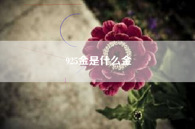 925金是什么金