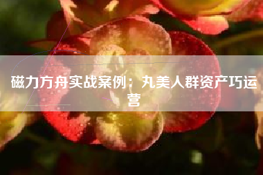 磁力方舟实战案例：丸美人群资产巧运营