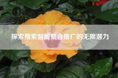 探索搜索智能聚合推广的无限潜力