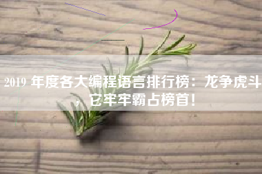 2019 年度各大编程语言排行榜：龙争虎斗，它牢牢霸占榜首！