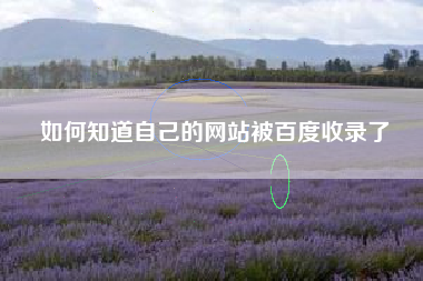 如何知道自己的网站被百度收录了