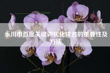 永川市百度关键词优化排名的重要性及方法