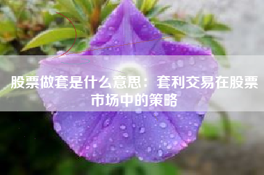 股票做套是什么意思：套利交易在股票市场中的策略
