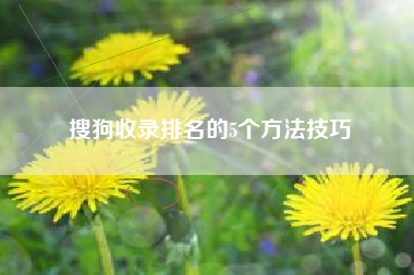 搜狗收录排名的5个方法技巧