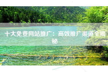 十大免费网站推广：高效推广渠道全揭秘