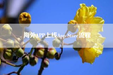 海外APP上线App Store流程 海外APP上线App Store流程