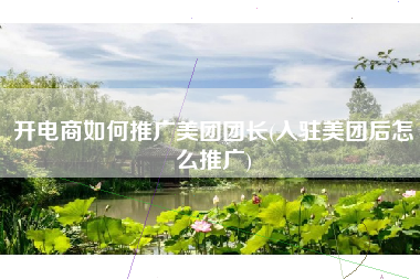 开电商如何推广美团团长(入驻美团后怎么推广)