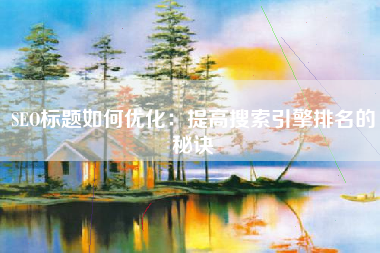SEO标题如何优化：提高搜索引擎排名的秘诀
