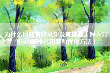 为什么网站有收录却没有排名（深入分析SEO的排名因素和优化方法）
