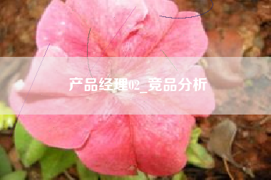 产品经理02_竞品分析 产品经理02_竞品分析