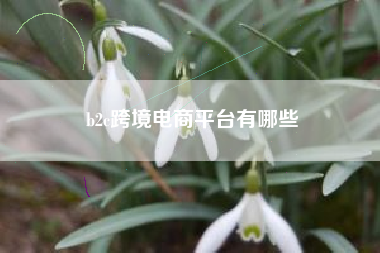 b2c跨境电商平台有哪些