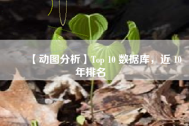 ❤️【动图分析】Top 10 数据库，近 10 年排名❤️