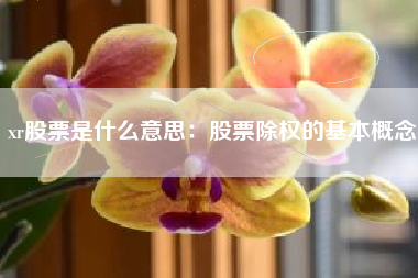 xr股票是什么意思：股票除权的基本概念
