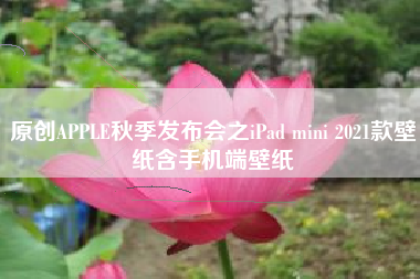 原创APPLE秋季发布会之iPad mini 2021款壁纸含手机端壁纸