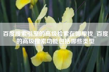 百度搜索引擎的高级检索在哪里找_百度的高级搜索功能包括哪些类型
