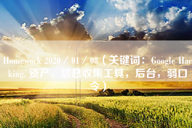 Homework 2020／01／08（关键词：Google Hacking, 资产，信息收集工具，后台，弱口令）