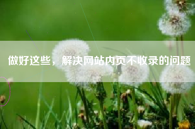 做好这些，解决网站内页不收录的问题