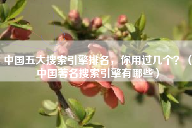 中国五大搜索引擎排名，你用过几个？（中国著名搜索引擎有哪些）