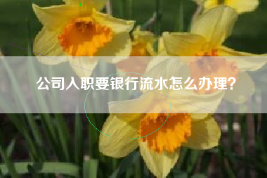 公司入职要银行流水怎么办理？