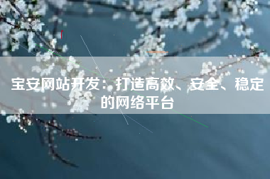 宝安网站开发：打造高效、安全、稳定的网络平台