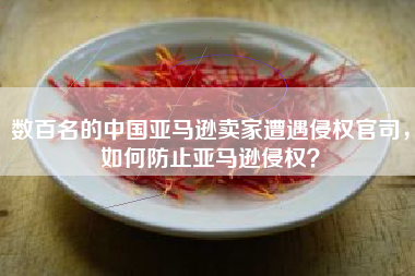 数百名的中国亚马逊卖家遭遇侵权官司，如何防止亚马逊侵权？