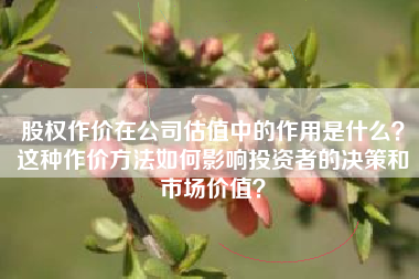 股权作价在公司估值中的作用是什么？这种作价方法如何影响投资者的决策和市场价值？
