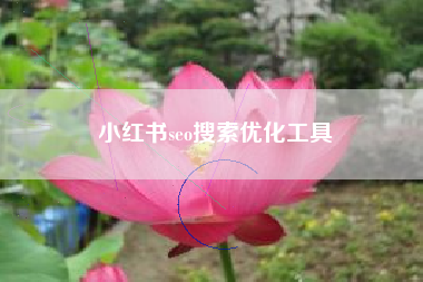 小红书seo搜索优化工具