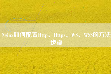 Nginx如何配置Http、Https、WS、WSS的方法步骤