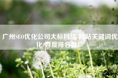 广州SEO优化公司大标网络-网站关键词优化-百度排名推广