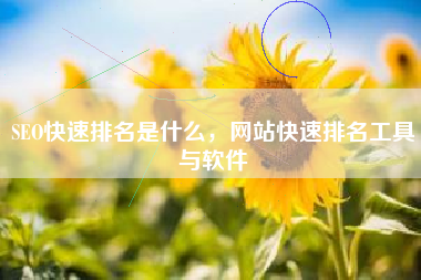 SEO快速排名是什么，网站快速排名工具与软件