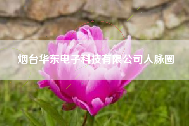 烟台华东电子科技有限公司人脉圈
