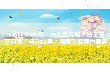 2020站群SEO系统／高质量养站／寄生虫／泛目录／自动收录／搜索引擎程序源码