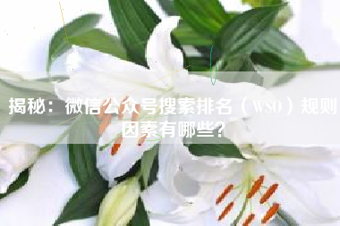 揭秘：微信公众号搜索排名（WSO）规则因素有哪些？