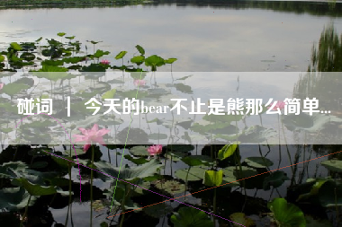 碰词 ｜ 今天的bear不止是熊那么简单...