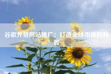 谷歌外贸网站推广：打造全球市场的利器