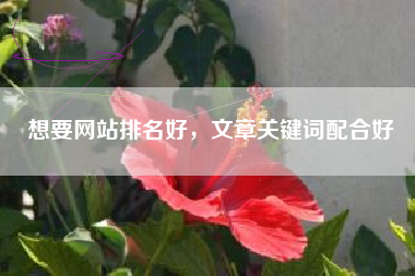 想要网站排名好，文章关键词配合好