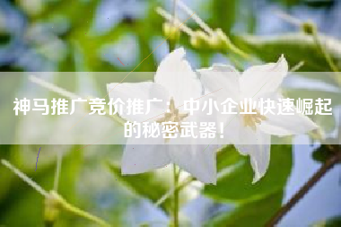 神马推广竞价推广：中小企业快速崛起的秘密武器！