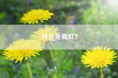 什么是霓虹？