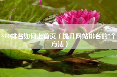 SEO排名如何上首页（提升网站排名的7个方法）