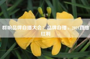 群响品牌自播大会：品牌自播，2021直播红利
